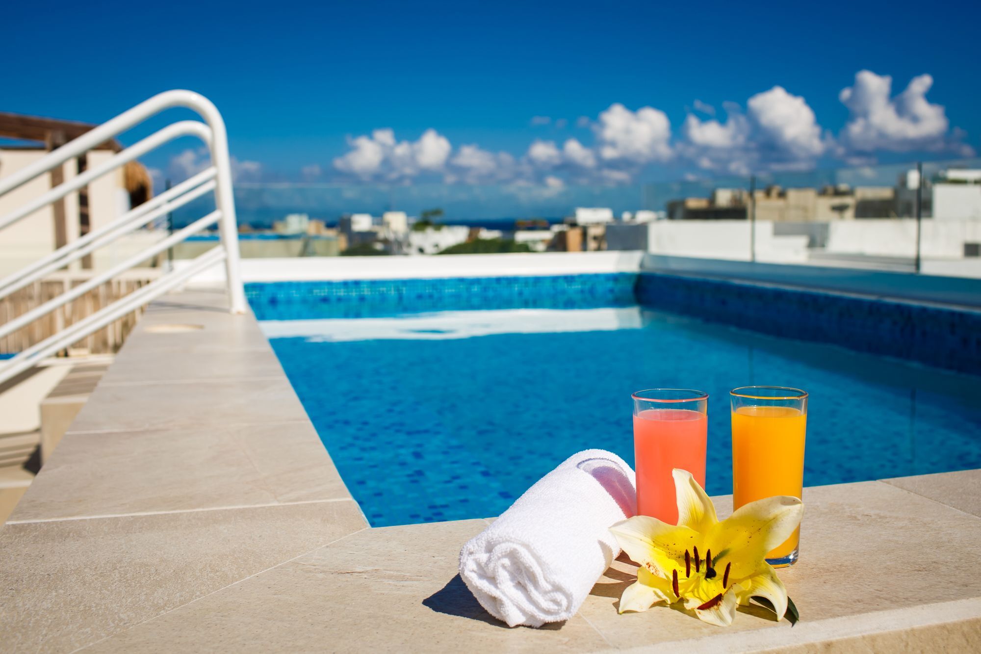 The Hybrid * Playa del Carmen