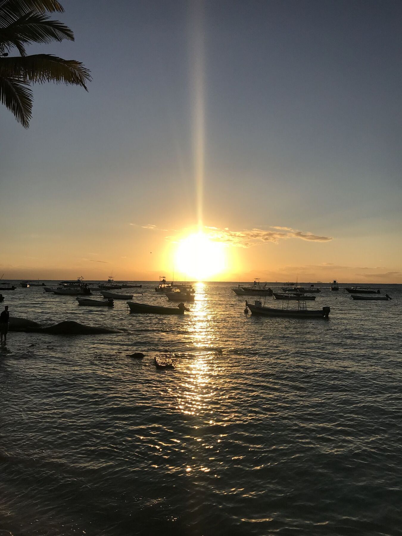 The Hybrid * Playa del Carmen