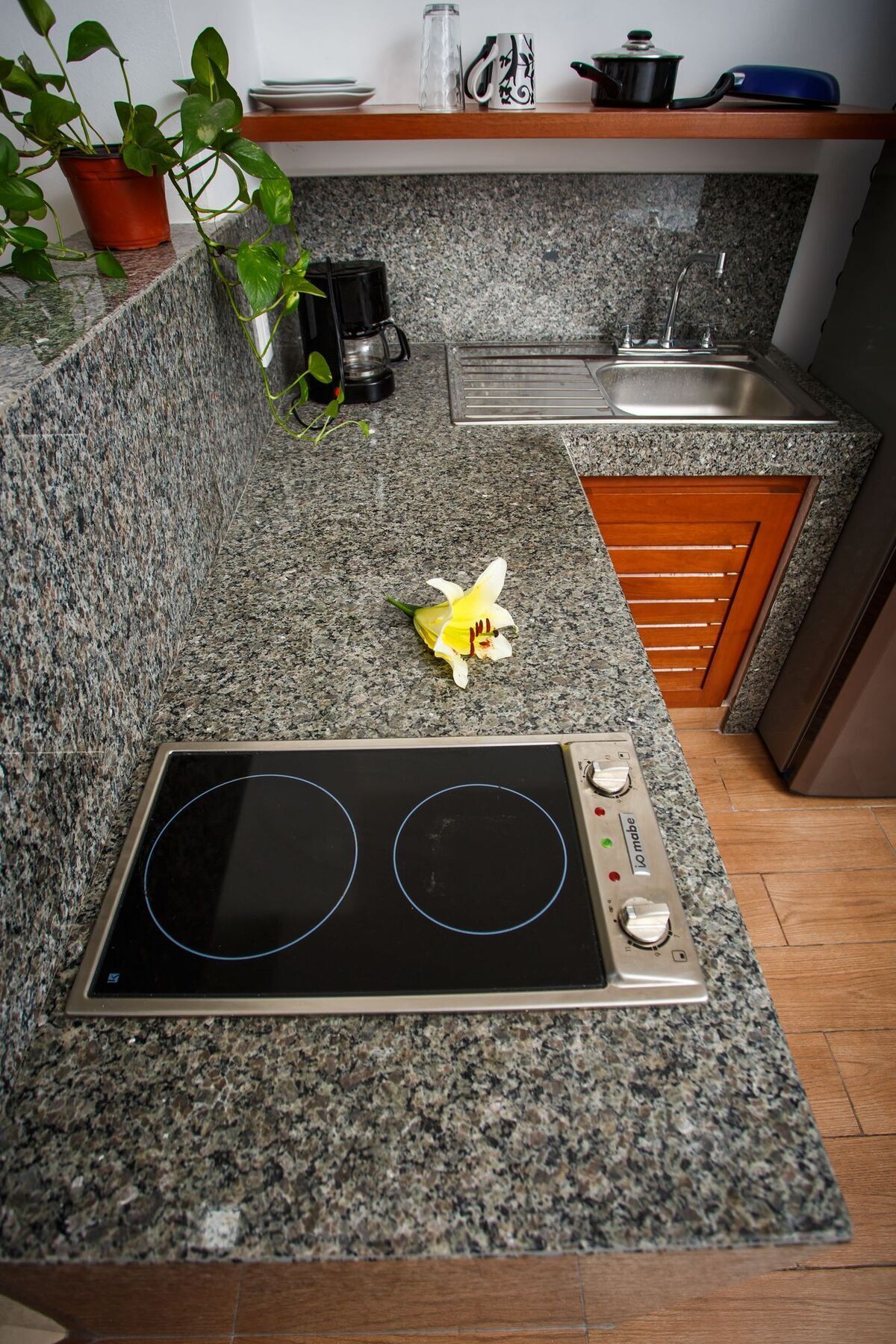 The Hybrid Apartamento