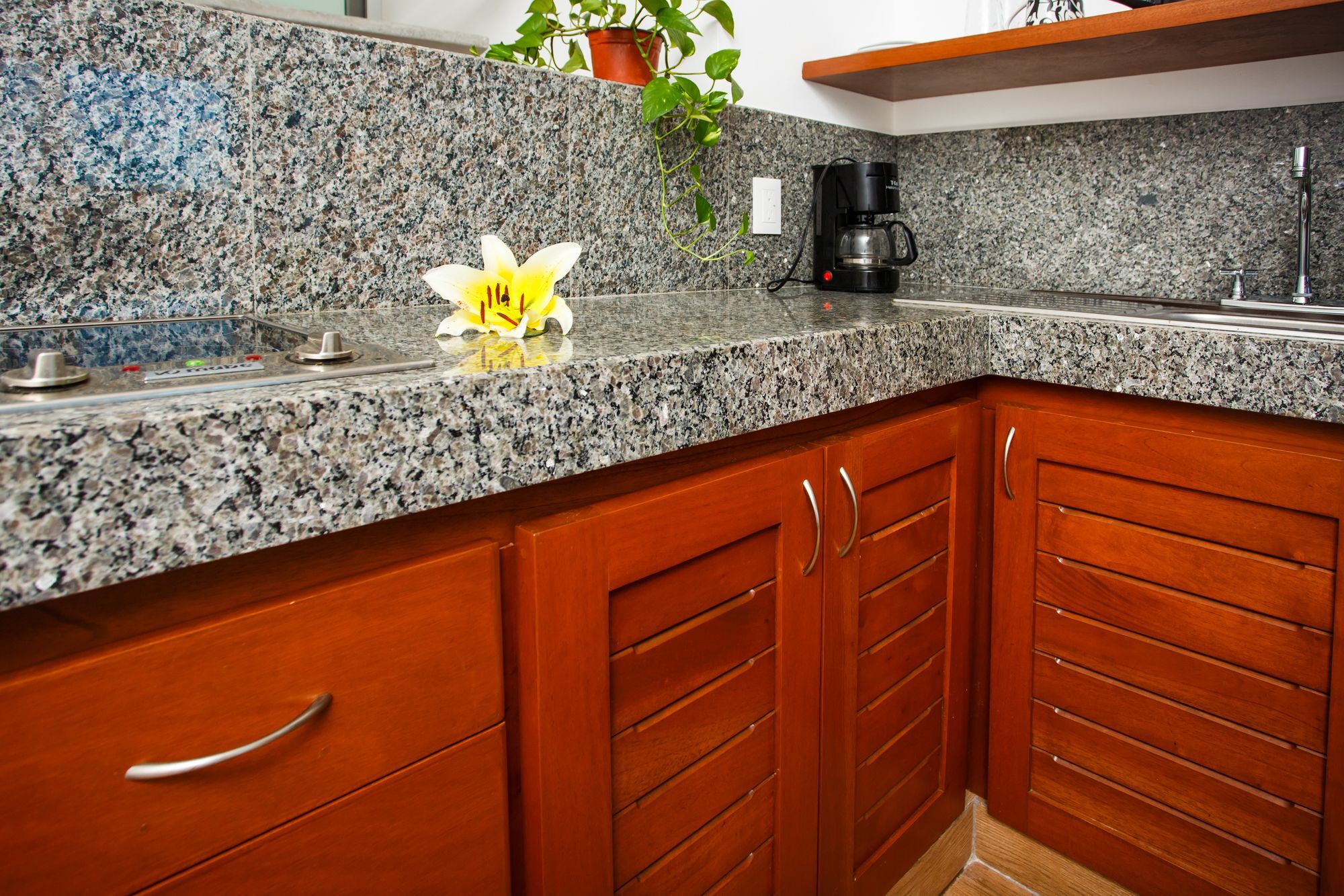 The Hybrid Apartamento Playa del Carmen